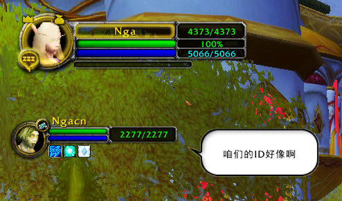 魔兽窗口化提取码_魔兽世界提取模型_魔兽世界文本提取