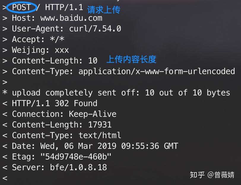 axios引入-轻松学会使用axios，告别繁琐网络请求