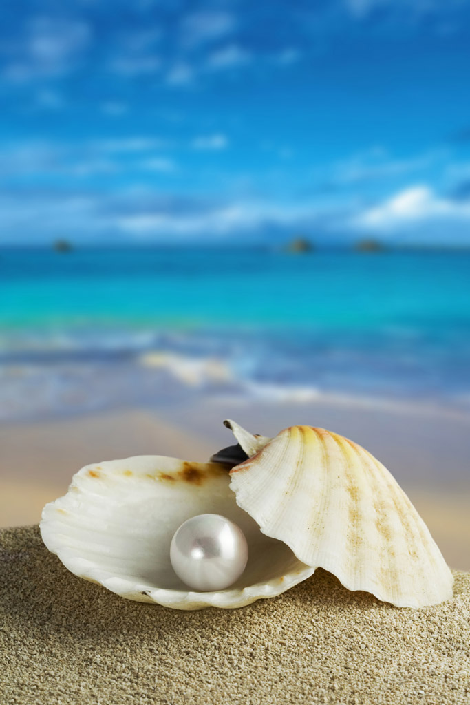 珍珠与沙子的故事-沙滩珍珠：沉睡的宝藏