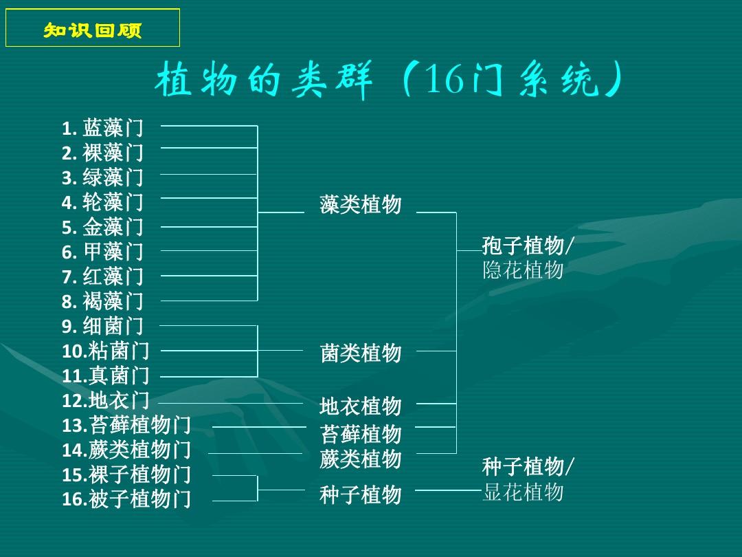 webservice客户端大比拼：性能、扩展性、易用性全面对
