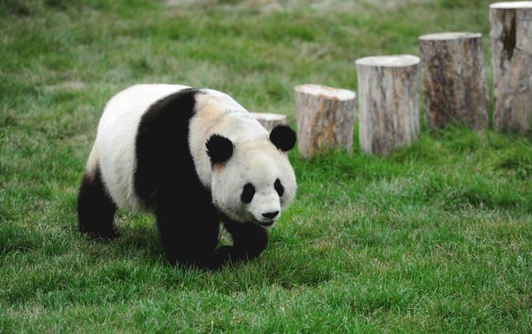 日本zoozoo www.zoo.ch_日本zoozoo www.zoo.ch_日本zoozoo www.zoo.ch
