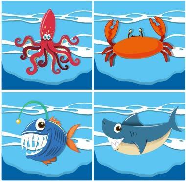 螃蟹生物模式图_螃蟹生物模式图片_螃蟹模式生物
