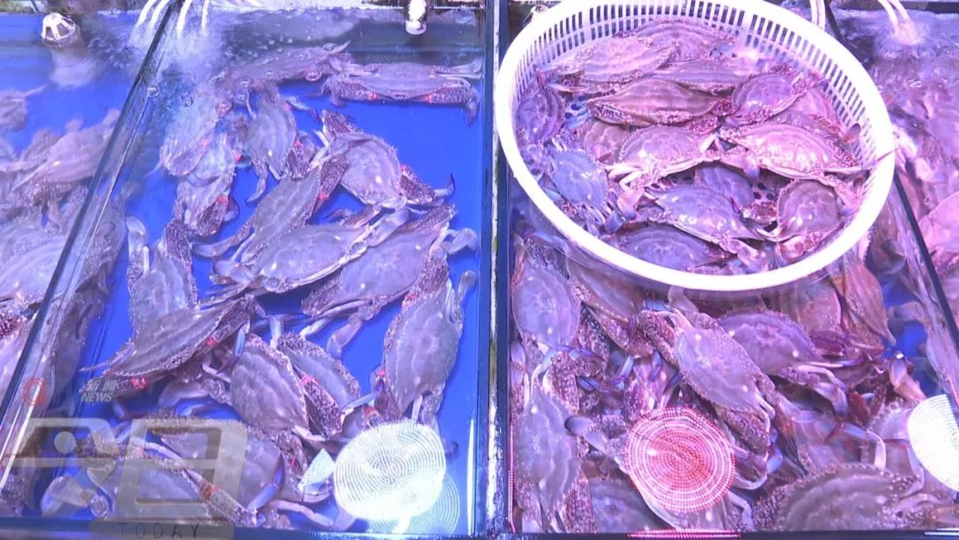 底大猎杀海底大猎杀_猎杀u-42海底大战_海底大猎杀crab madness是什么模式