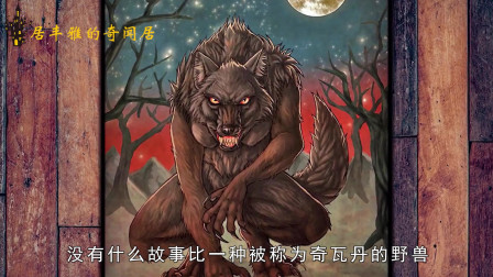 恐怖之森：离奇传说背后的真相