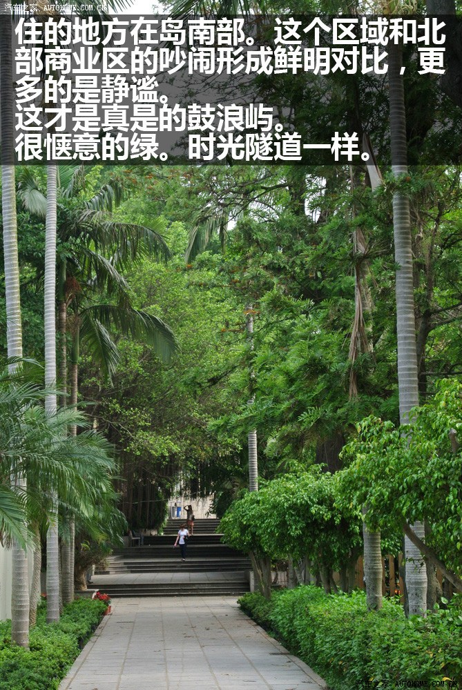 时光驻留免费观看_时光驻留在线观看免费完整版_时光驻留