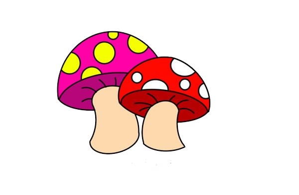 贝壳简笔画带颜色-五步教你画出生动立体的贝壳