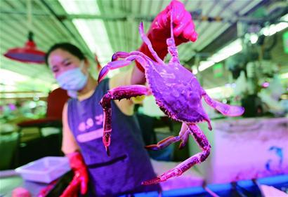 海底猎杀小游戏_海底大猎杀crab madness是什么模式_底大猎杀海底大猎杀