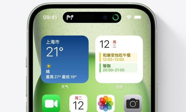 苹果功能有哪些_苹果13有nfc功能吗_苹果功能有双开功能吗