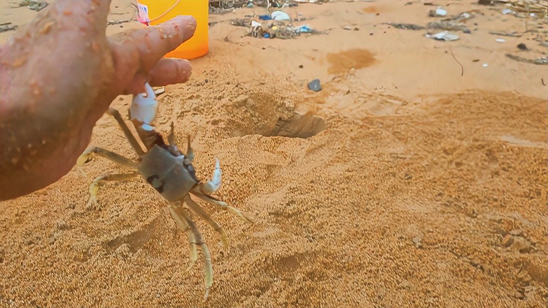 螃蟹的海底大猎杀视频_残忍杀螃蟹_螃蟹大猎杀