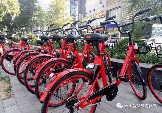 青桔单车投诉电话怎么打_青桔单车投诉电话号码_青桔单车投诉热线