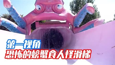 螃蟹生态系统_螃蟹生物模式图_螃蟹 模式生物