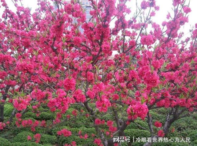 拼多多图片尺寸多少-拼多多商品图片上传技巧：尺寸清晰度重要，