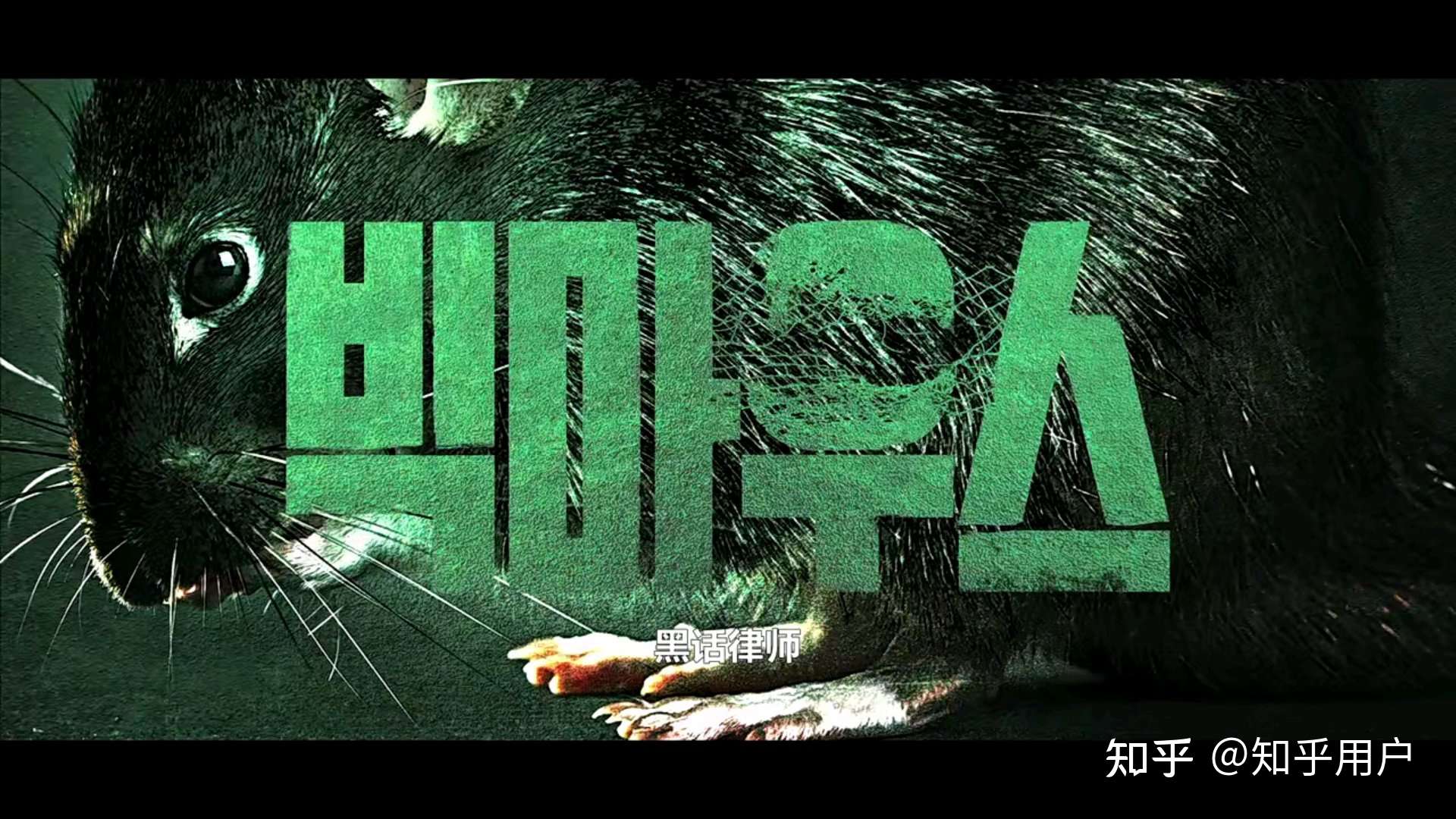 手机硕鼠怎么用-手机硕鼠：解决手机存储和应用管理难题的神器