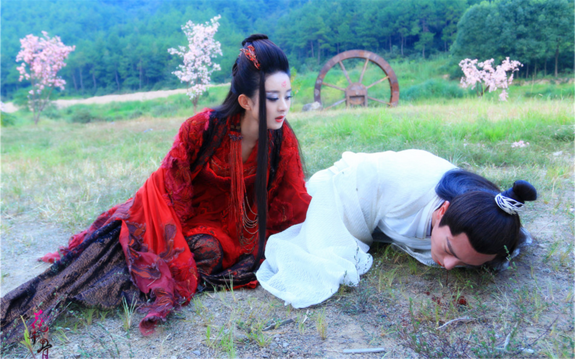 七彩影视：用影视作品展现生活真谛，传递热爱与追求