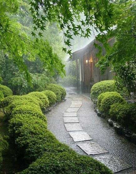 电影雨中曲-雨中曲：雨滴与旋律交织的心灵触动之旅