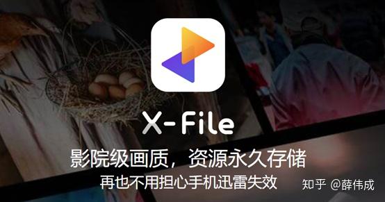 迅雷破解版手机安卓版_迅雷破解版手机软件下载_手机迅雷vip破解版apk