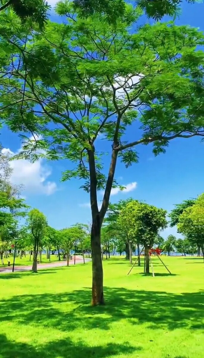 套索3韩版_套索_套索工具怎么抠图