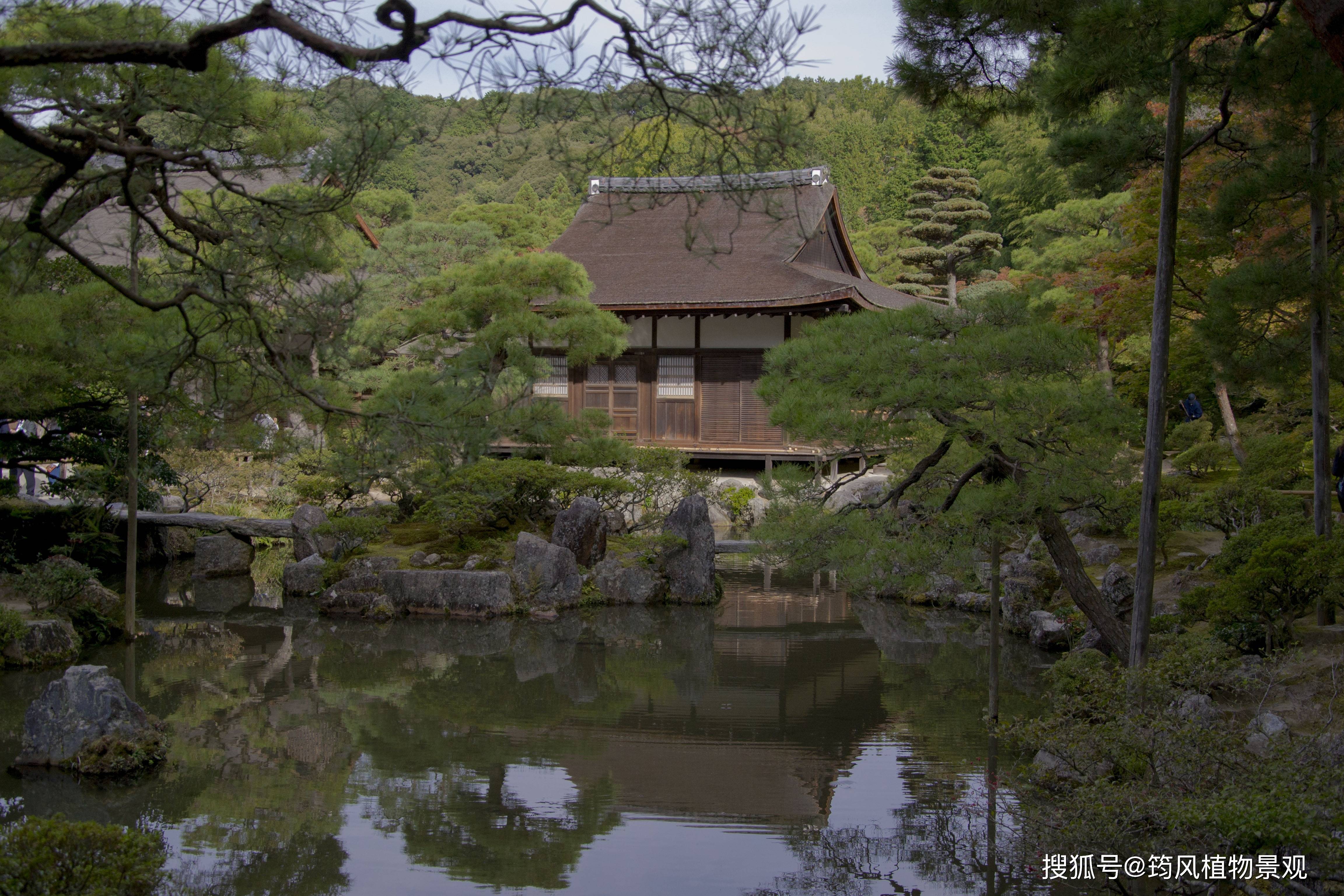 小岛多惠：心灵的避风港与净土，旅游胜地与情感寄托
