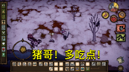 热带雨林的生存手机版游戏_热带雨林生存全集_在热带雨林生存的游戏
