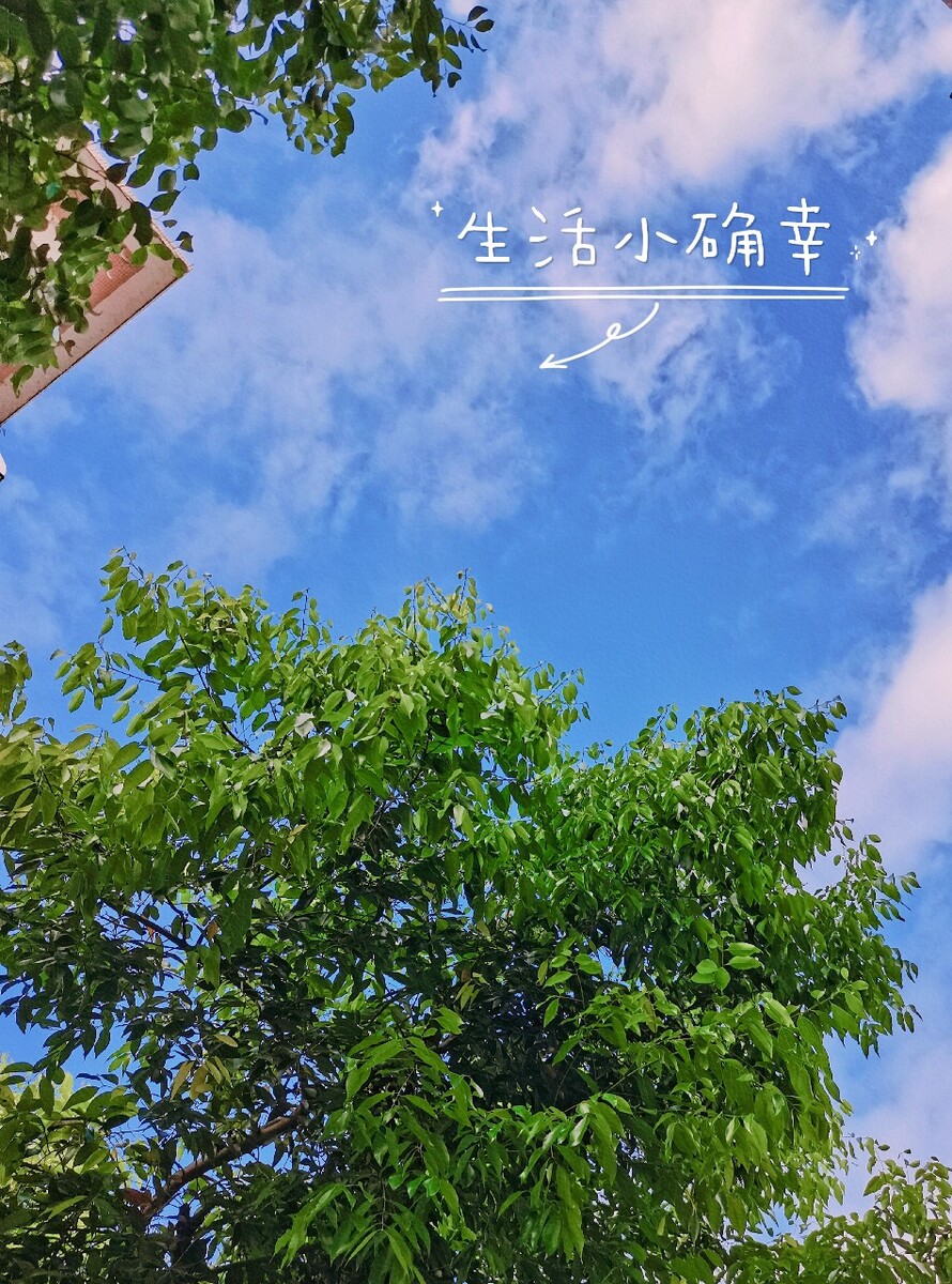 招行周三面包新语_招行周三面包新语_招行周三面包新语