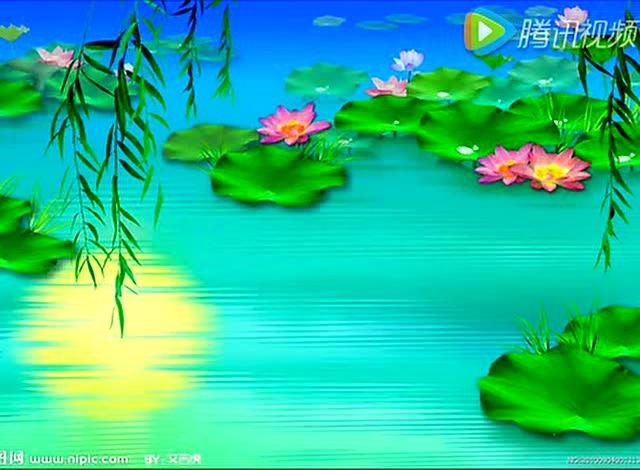 稞麦怎么无法下载视频了_视频下载失败原因_视频无法下载怎么回事
