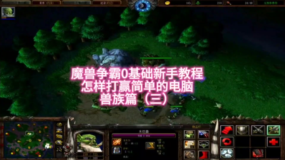 魔兽争霸 只能窗口_魔兽争霸变成窗口化了_魔兽争霸窗口