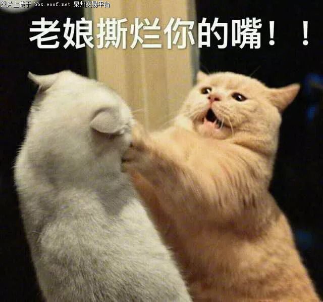 京东白条怎么一次性还清分期付款-京东白条一次性还清攻略，让你