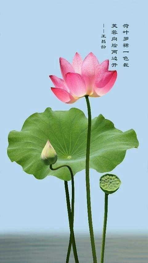 知天气-嘿，亲爱的天空，你是我最私密的情绪日记