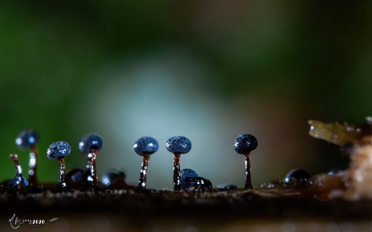 初一下生物学法大视野_初一生物学法大视野书_初一学法大视野生物答案