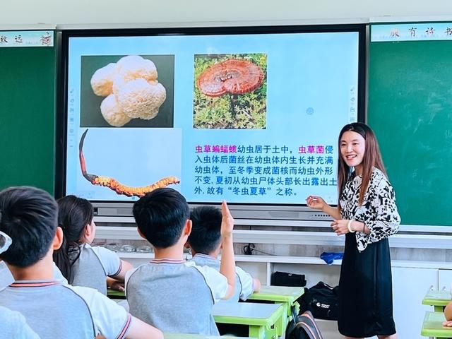 初一下生物学法大视野_初一生物学法大视野书_初一学法大视野生物答案