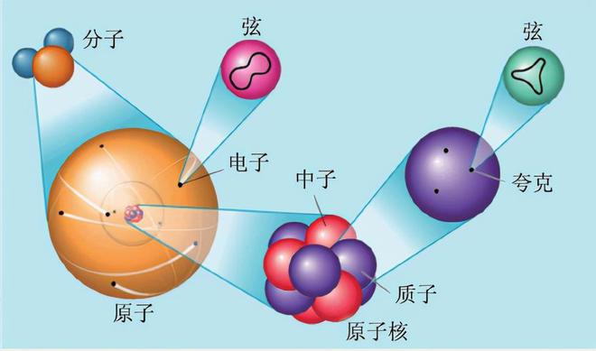 初一下生物学法大视野_初一学法大视野生物答案_初一生物学法大视野书