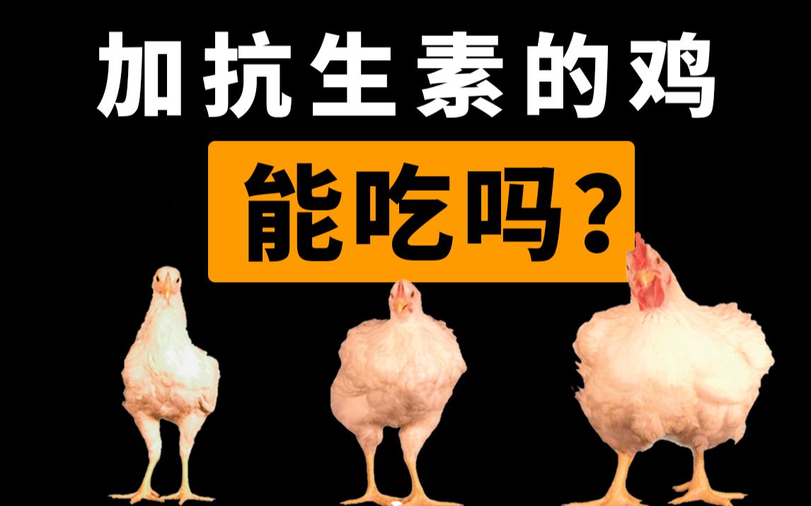 稞麦综合视频下载不能用了还有什么相同的软件代替-稞麦视频下载