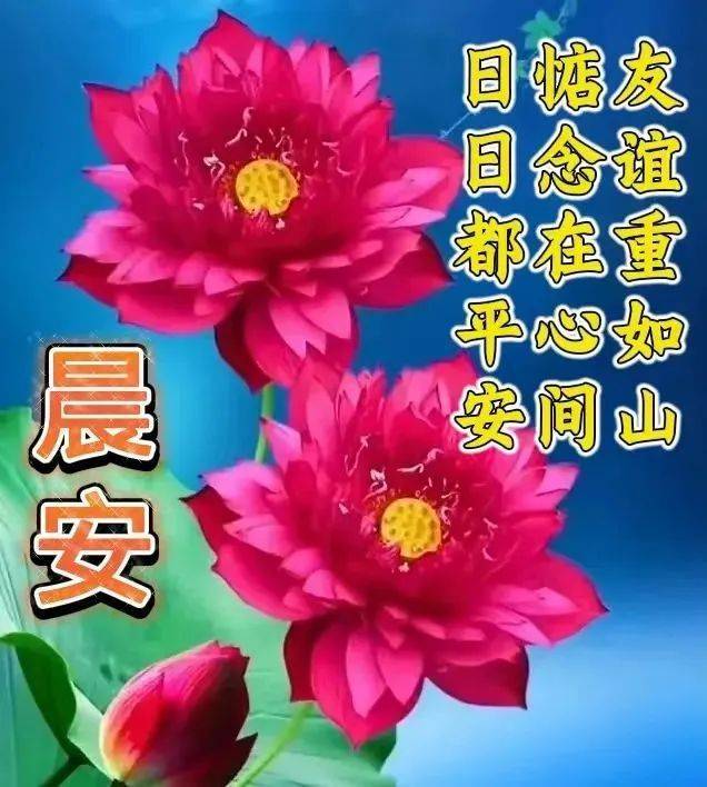 哔哩哔哩怎么找a级_哔哩哔哩怎么找a级_哔哩哔哩怎么找a级