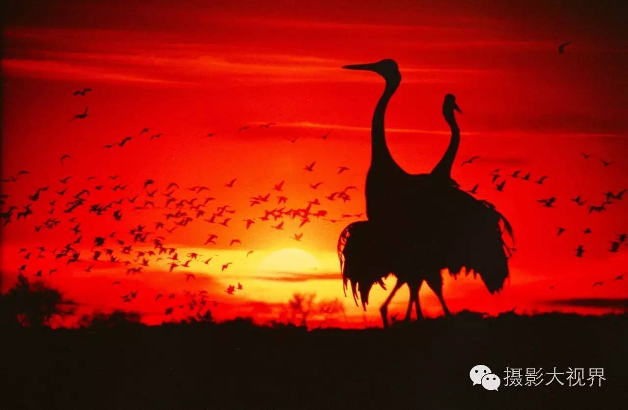 数字键电脑打出字母_数字键电脑打出符号_电脑数字键打不出数字