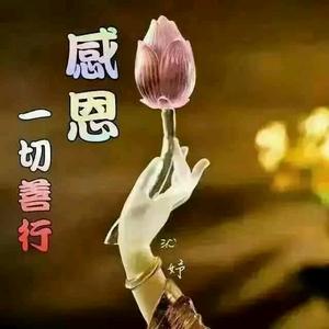 爱微帮_爱微帮_爱微帮