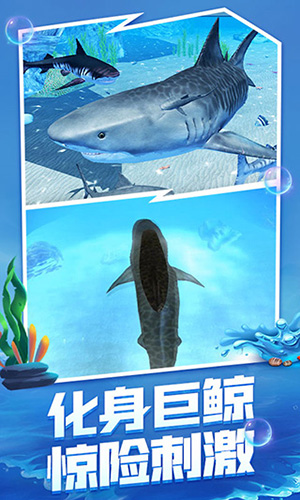 海底大猎杀中文版 螃蟹-螃蟹的逆袭：海底世界惊心动魄的大猎杀