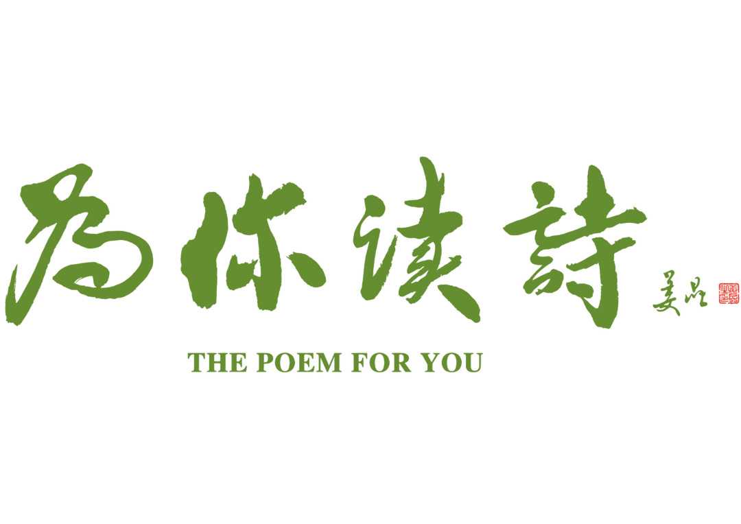 给利伴：生活中的温暖慰藉，默默陪伴你的最佳伙伴