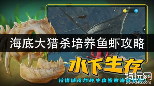 海底猎杀之帝王蟹_海底大猎杀螃蟹王游戏_海底大猎杀螃蟹掉落的法杖