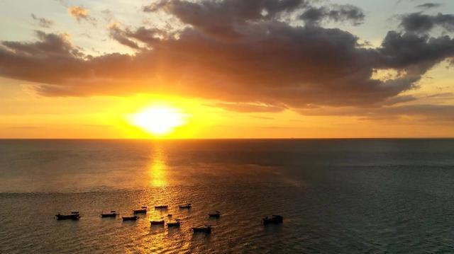 飞手接单app_飞手接单平台_飞手接单平台有哪些