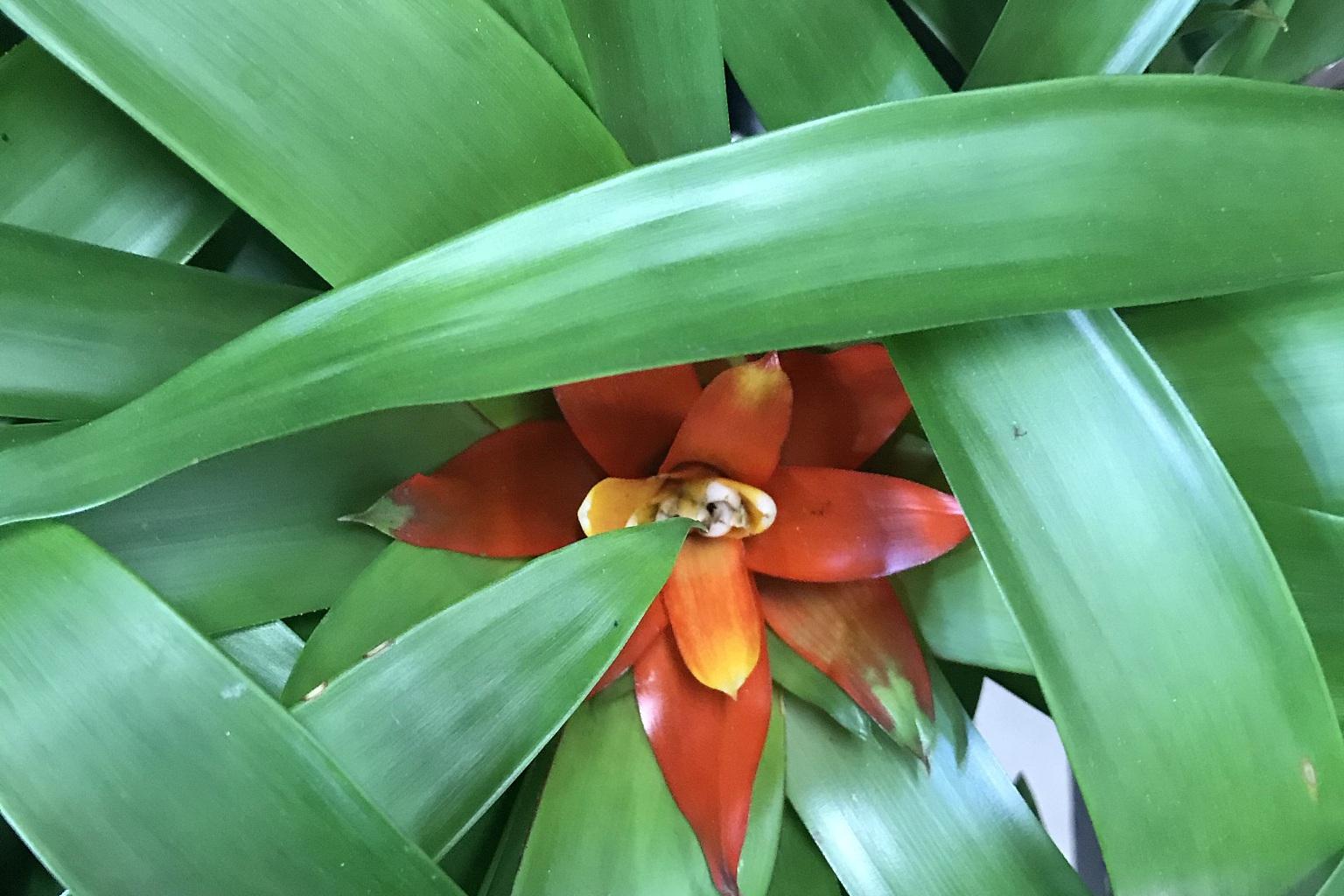 打印机后台程序_打印机后台程序_打印机后台程序