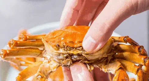 螃蟹模式_螃蟹模式是什么_螃蟹游戏
