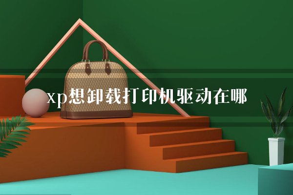 xp安装打印机步骤-可爱小打印机如何在 XP 系统上安家落户