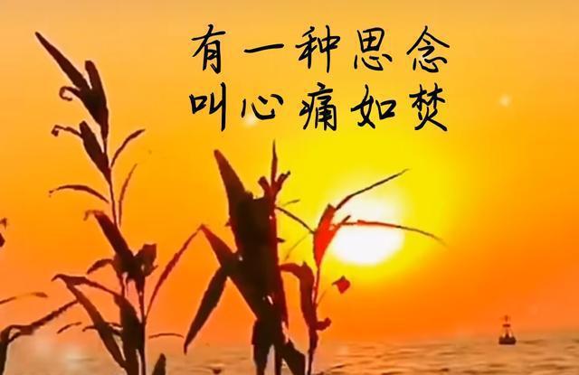 玉虚真人_玉虚十二仙_玉虚