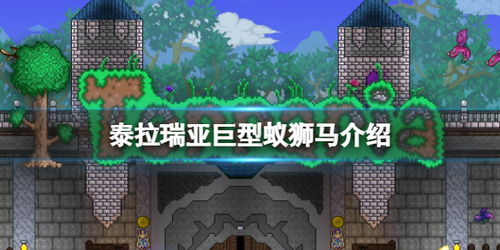 泰拉瑞亚存档编辑器 